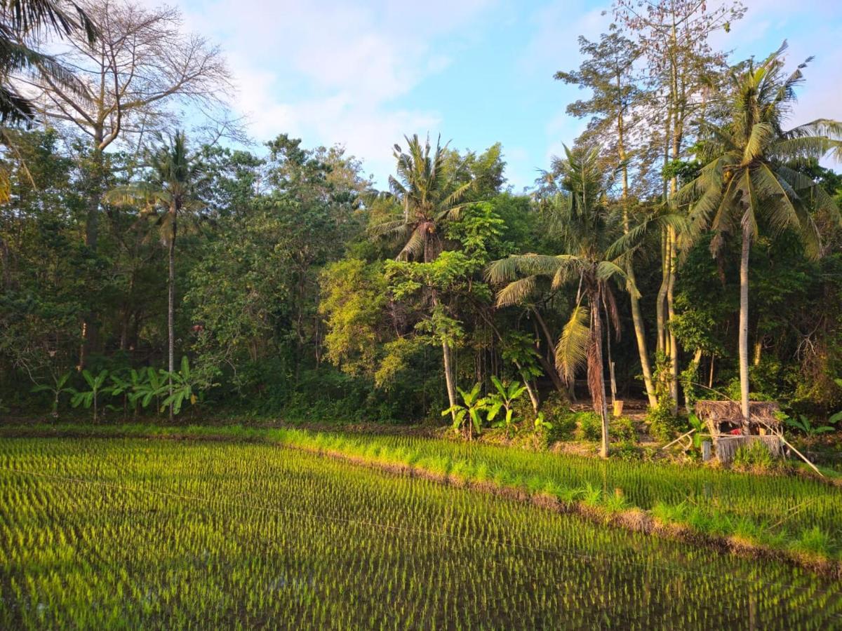 Pondok Diana Yuki Jasri ภายนอก รูปภาพ